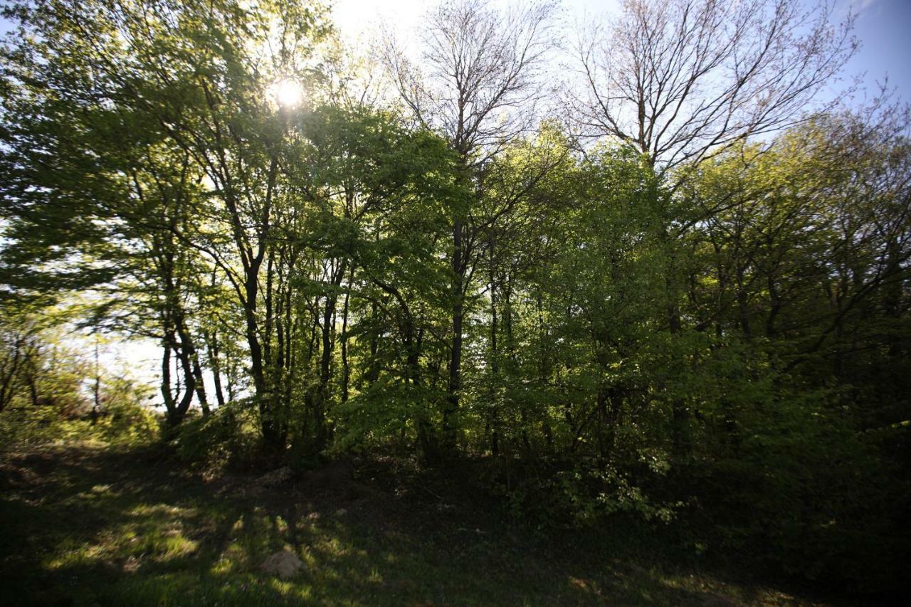 Varga Vendeghaz Sumegpraga Exterior foto
